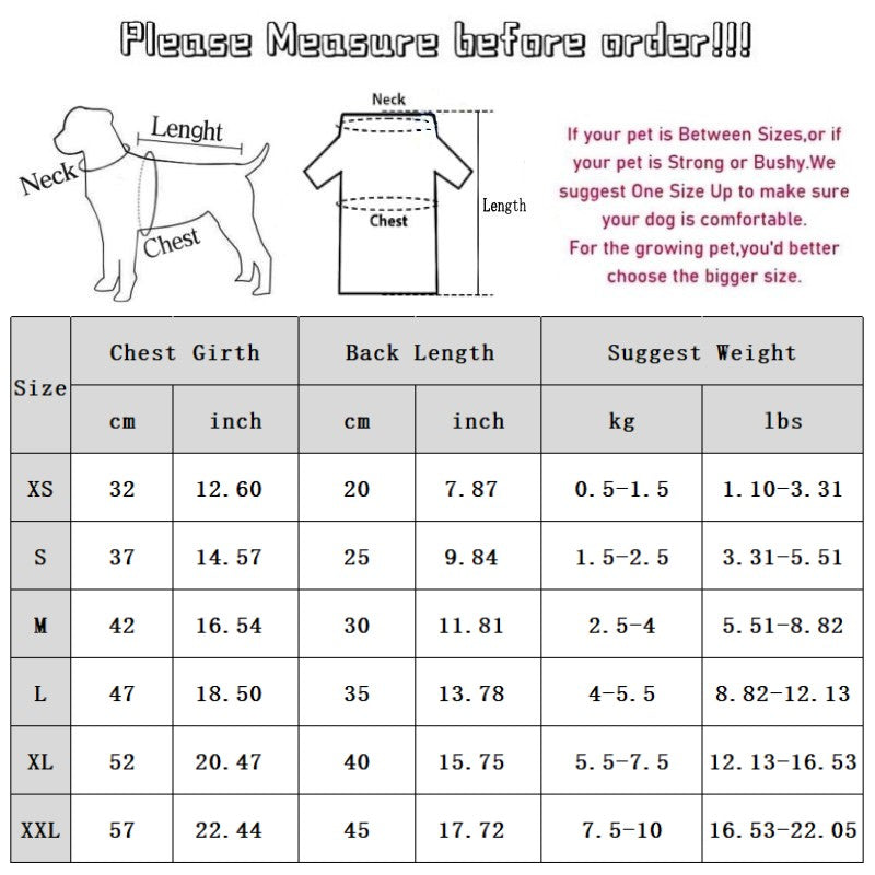 Autumn and Winter Dog, Small and Medium-Sized Dog, Cute Puppy, Color-Block Base Shirt, Cat Two-Legged Shirt, Teddy...