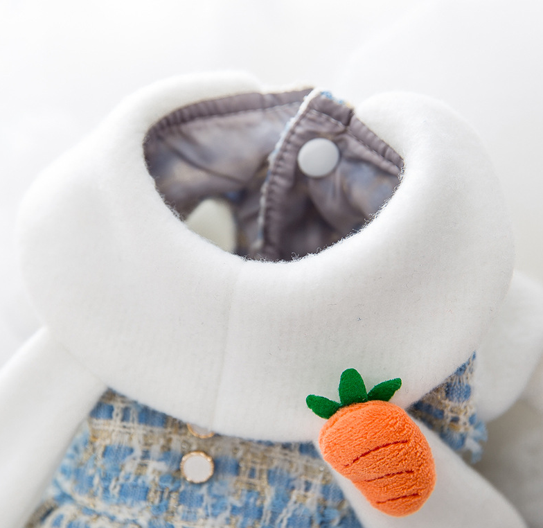 New skirt dress autumn and winter dog woolen small general cat pet clothes