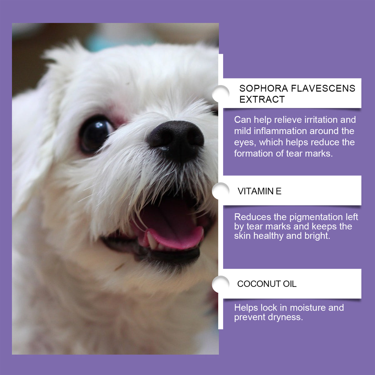 Dog Tear Stain Paste, Gentle Tear Stain Remover For Dogs With Honeysuckle, Sophora Flavescens & Coconut Oil, Soothing Eye Brightening Cream For All Dog Skin Types, 20g