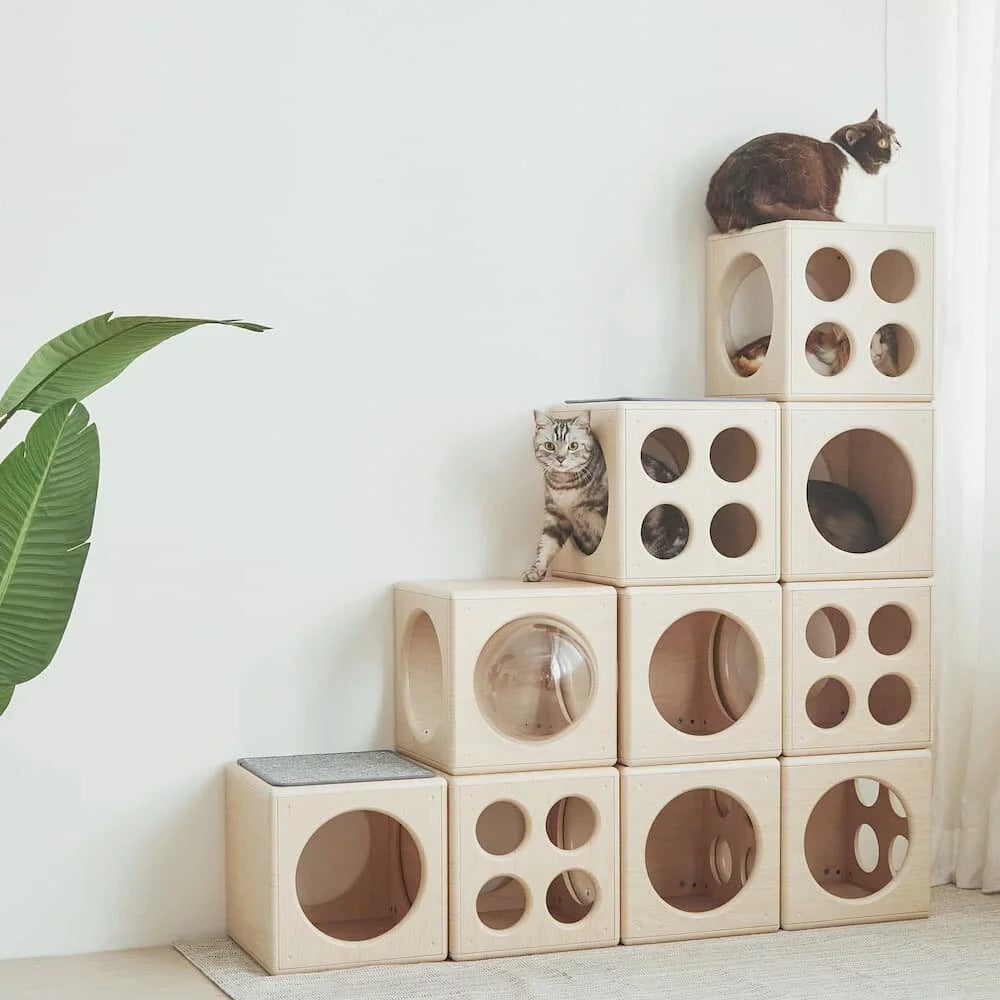 Four-Season Scratch-Resistant, Breathable Wooden Cat Bed