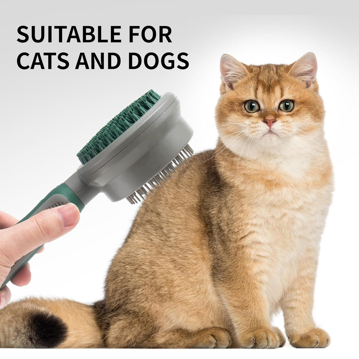 2in1 Silicone Cat Hair Brush Cat Brush with Soft Rubber Pinsfor Indoor Cats Dog Bathing Massage Grooming Shedding...