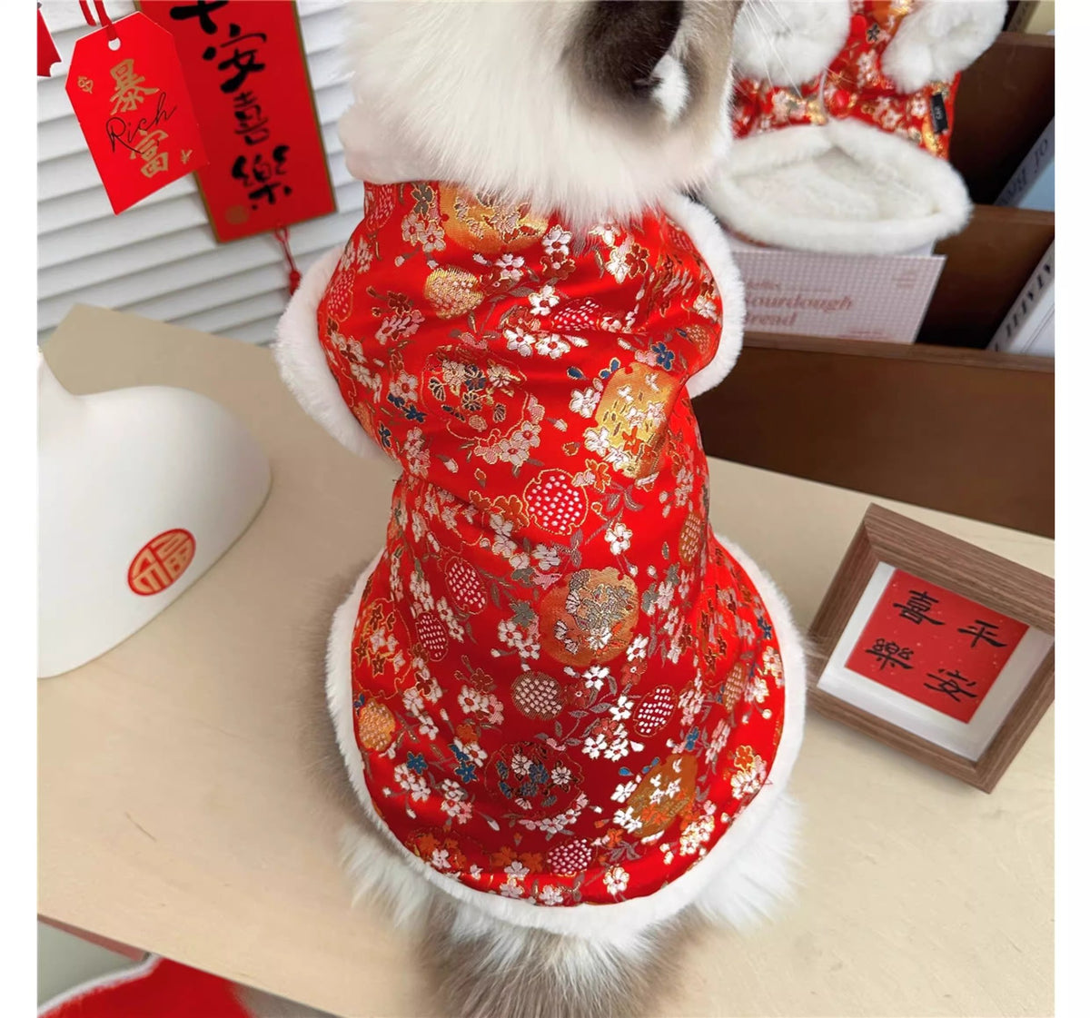 Underwear Ragdoll Silver-shaded Kitten Pet Tang Suit