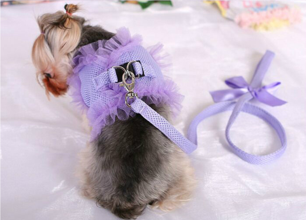Pet supplies cute lace chest back dog leash