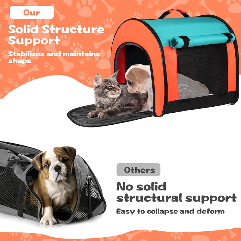 Amazons New Foldable Dog And Cat Harness