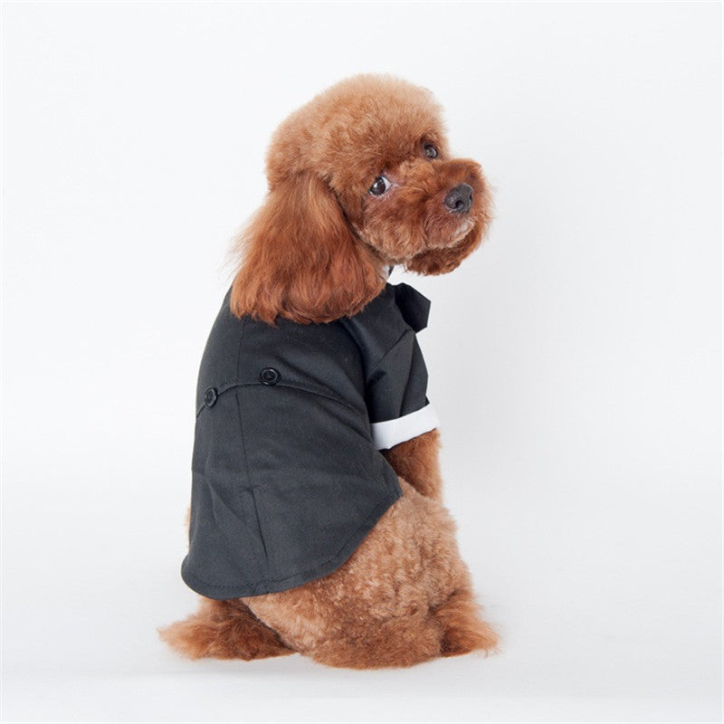 Teddy clothes Golden Retriever Satsuma Fall Winter Pet Suit