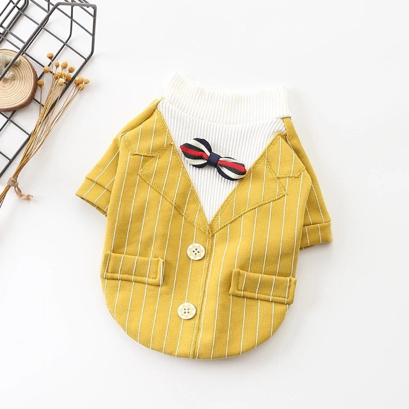 Cotton autumn and winter dog clothes