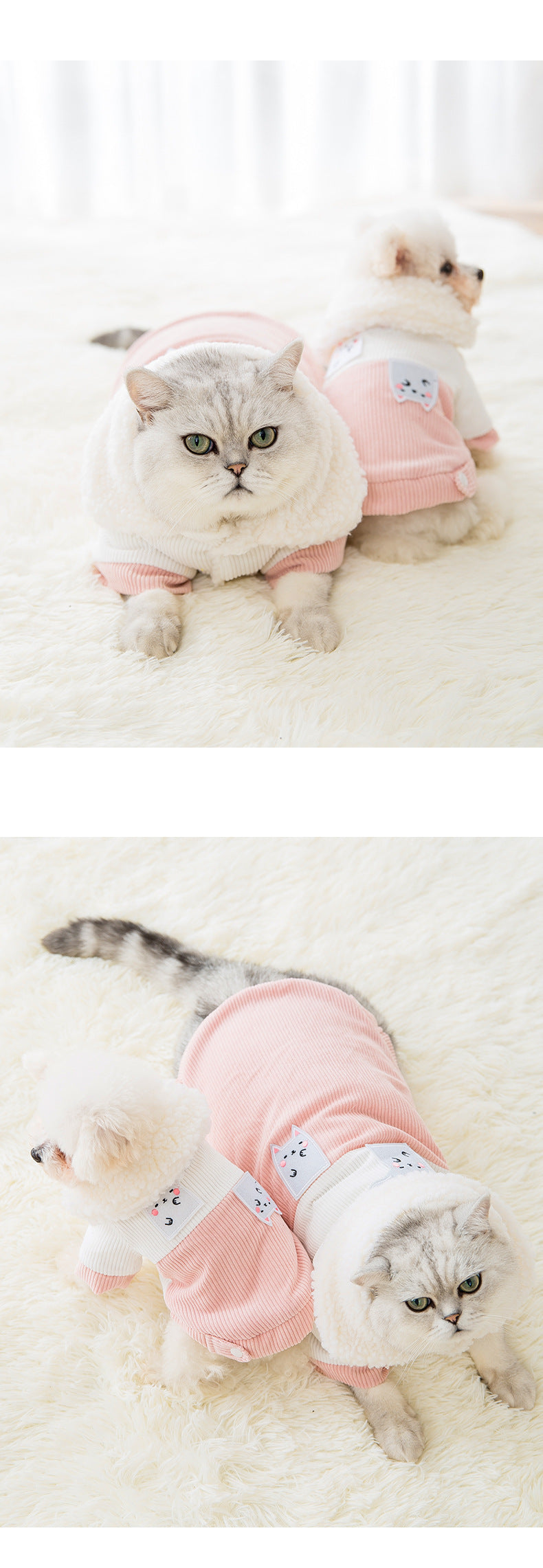 Cartoon pet cotton