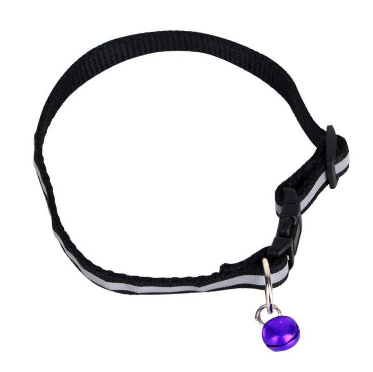Fluorescent dog collar