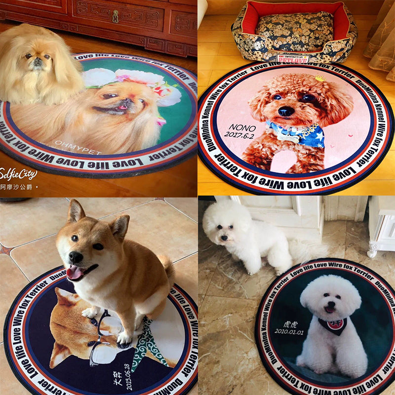 Pet dog mat