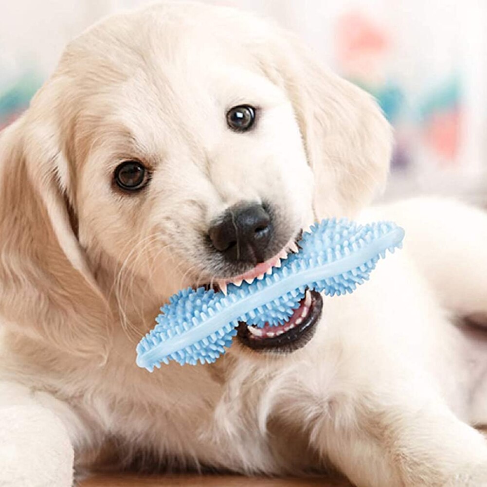 New Pet Toy Chew Teeth Stick Dog Toy Ball Bite Resistant Interaction