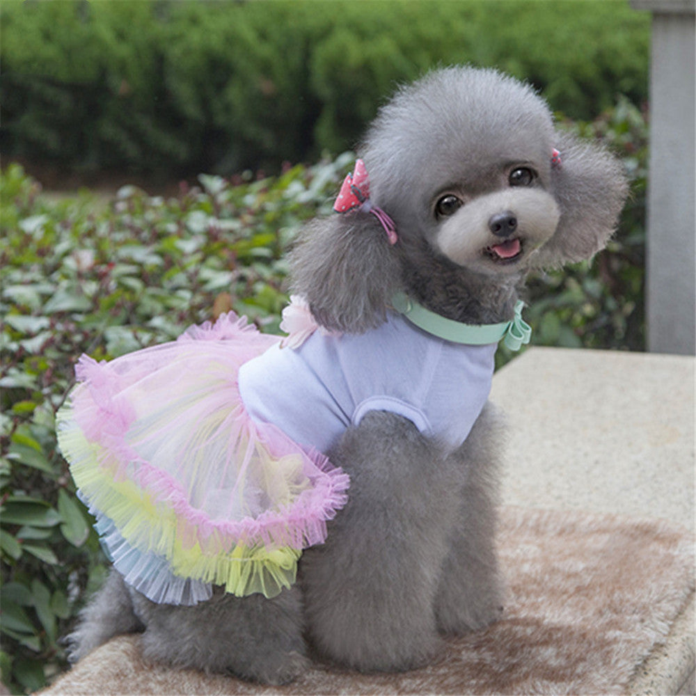 Cupcake Tutu Dress - Pet Clothing