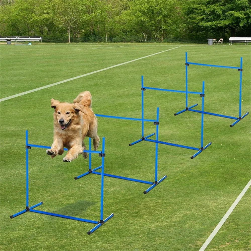 Dog agility training equipment