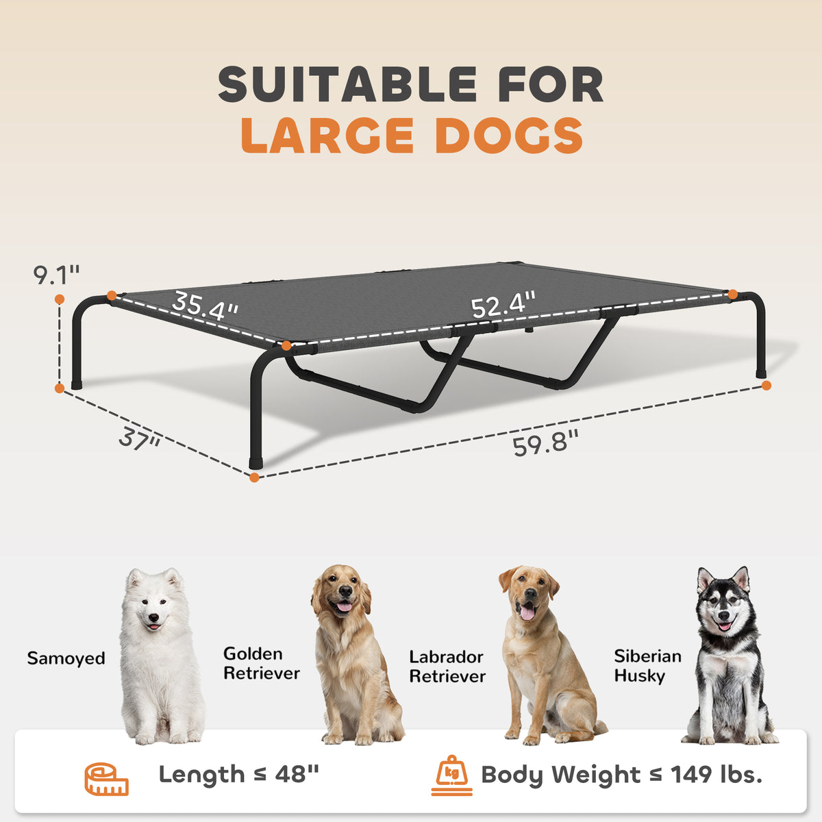Elevated Dog Bed for Large Breeds Gray 60"L