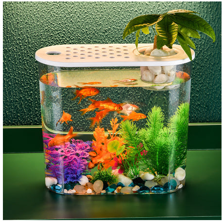 Acrylic Transparent Ecological Incubator Goldfish Tank