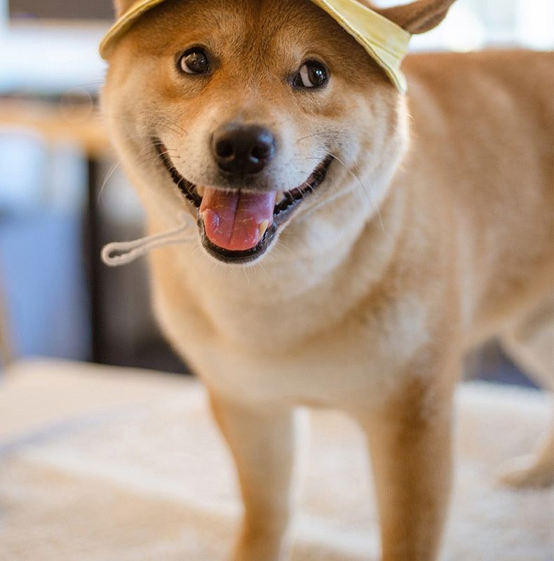 Summer Dog Hat Cat Wear-resistant Breathable Bucket Hat