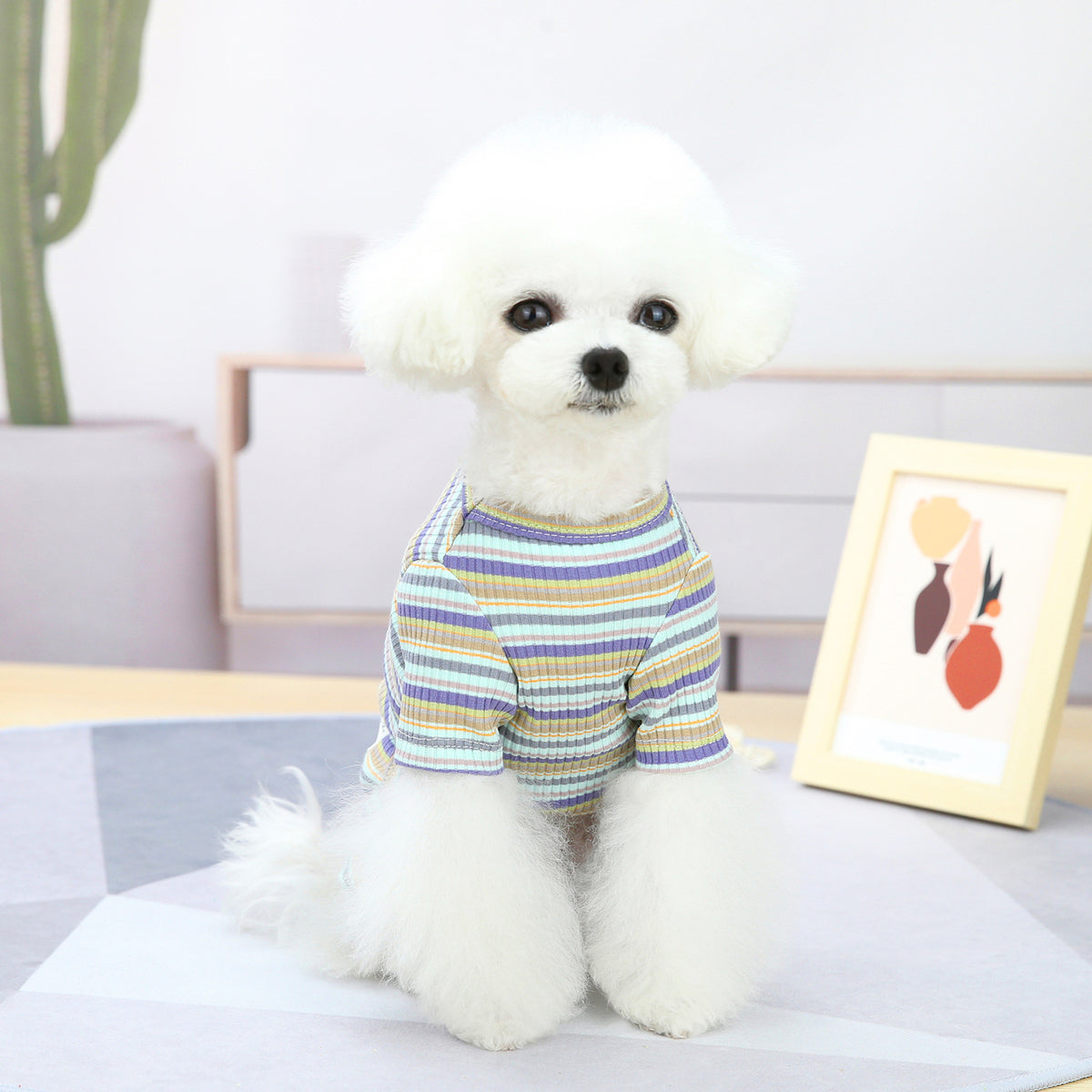 Pet Fashion Simple Color Stripes Loungewear