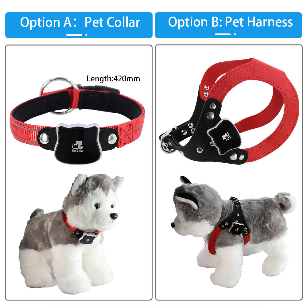 Smart GPS Location Pet Tracker Collar And Harness Set For Cats And Small Dogs