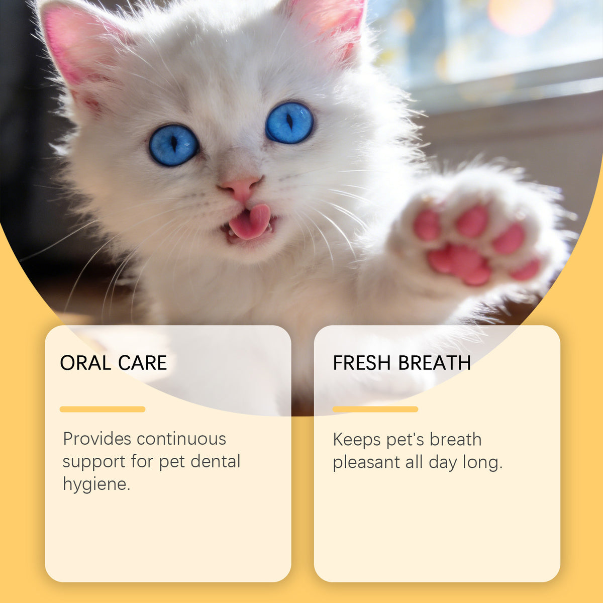 Pet Oral Spray