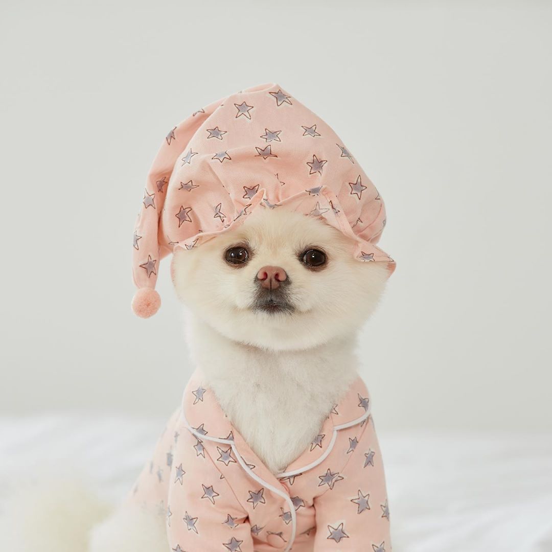 Blue Star Pajama Set Dog Loungewear