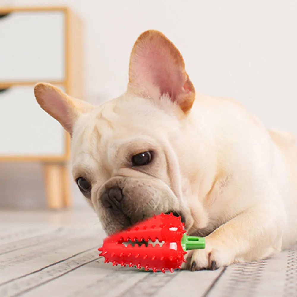 Interactive Dog Teething Chili Chewers Toy Interactive Toys Dog Toys