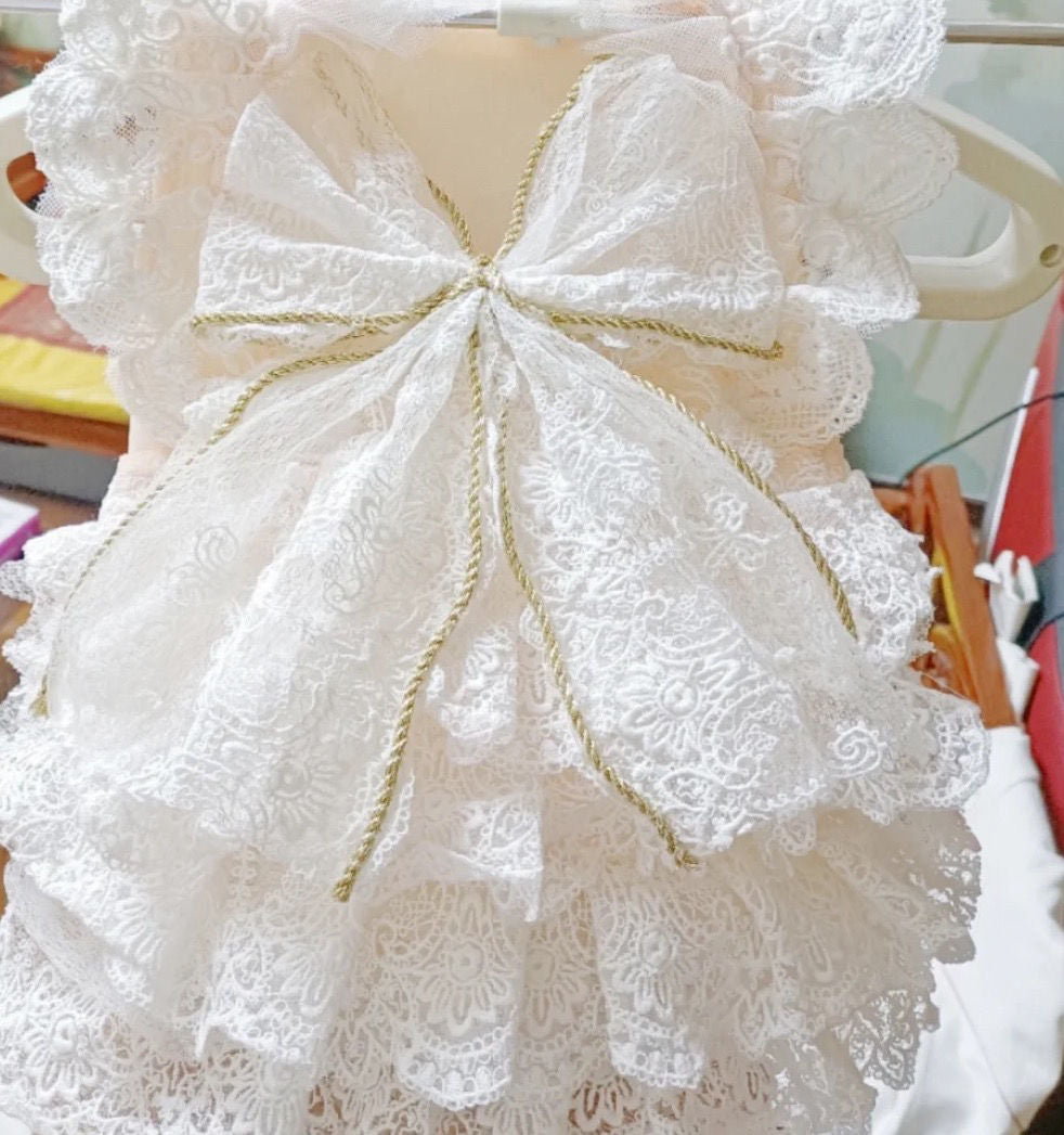 Dog Clothes Thin Princess Dress Wedding Lace