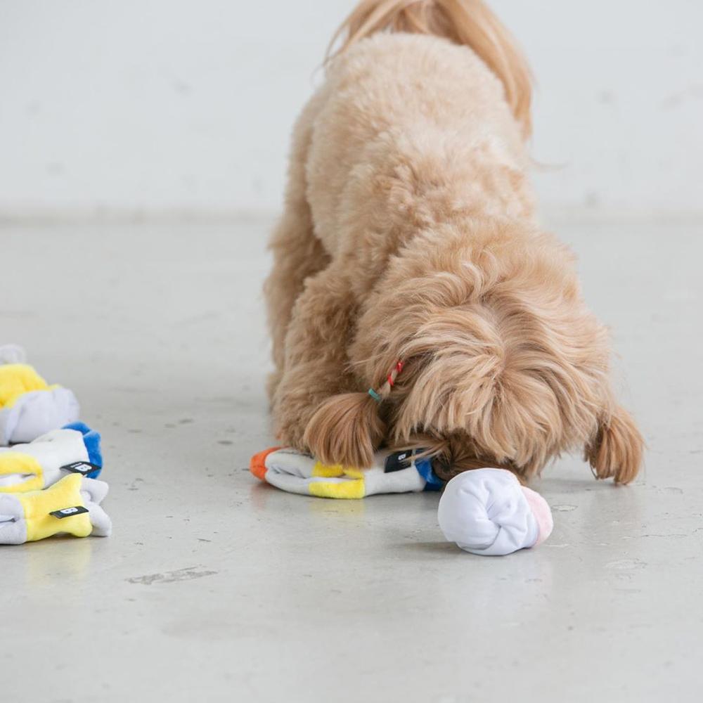 Cute Dog Socks Hidden Food List