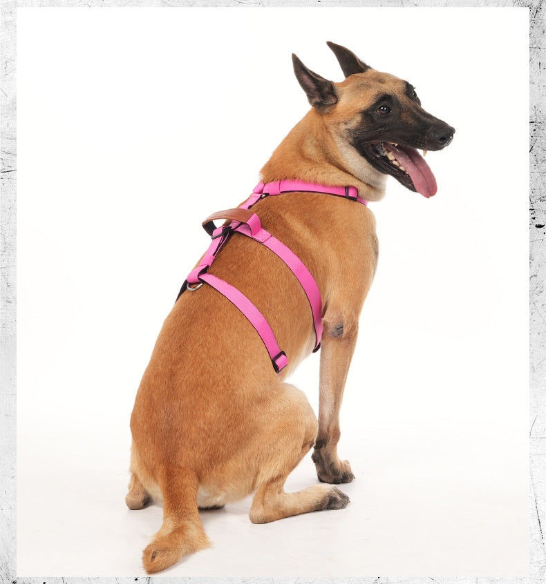 Dog Leash Anti-Pull Harness For Medium- To Large-Sized Dogs
