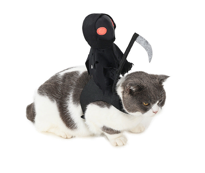 Pet Knight Harvest Funny Cute Riding Outfit