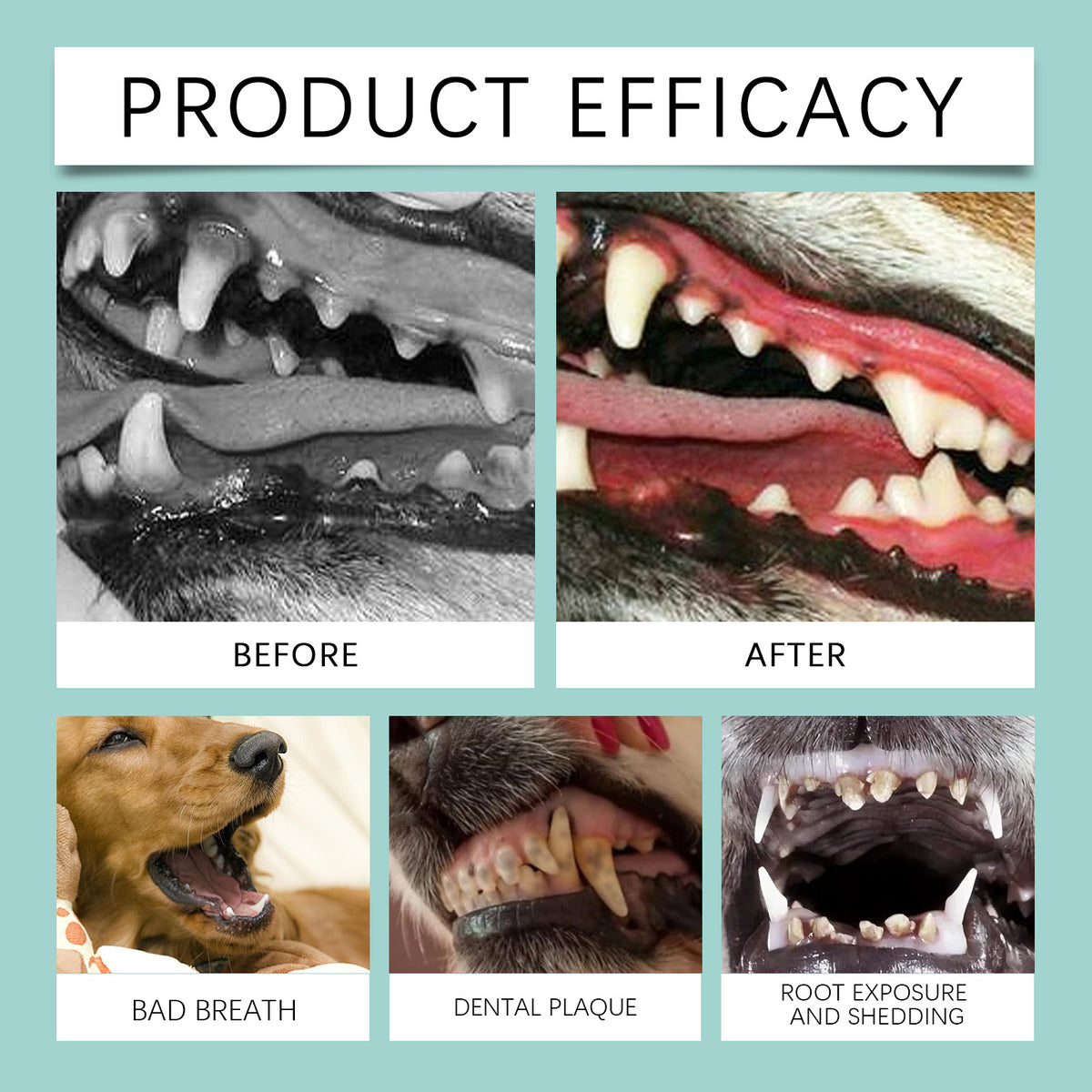 Dog Tooth Cleaning Powder