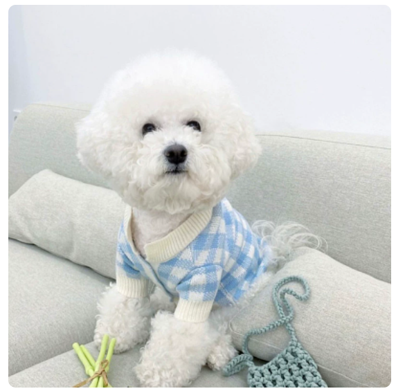 Cute Home Clothes For Pet Cats And Dogs