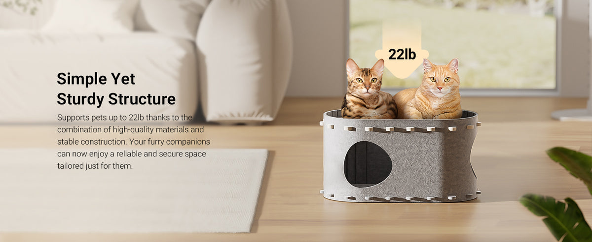Cat House for Indoor Cats Cat Bed Cave for Multiple Scratch Resistant Peekaboo Cat Caves Foldable Cat Tunnel...