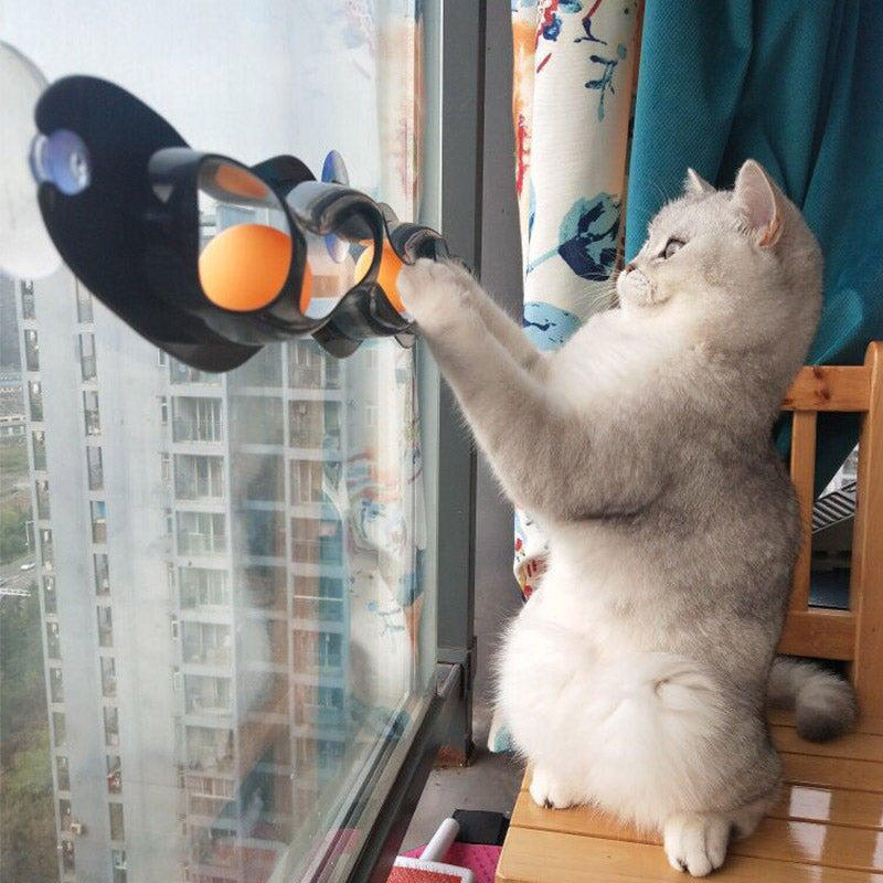 Interactive Track Ball Window Suction Cup Toy Catnip Balls Massage Plastic Sucker Funny Cat Game Intelligence Toy