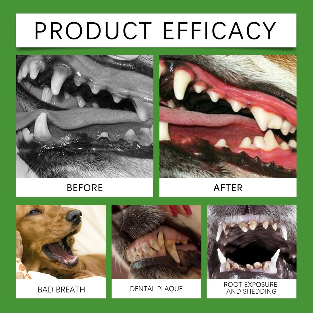 Dog Teeth Cleaning Powder
