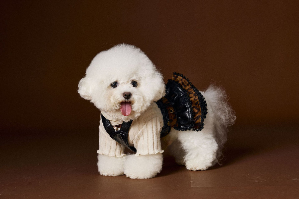 Teddy Schnauzer Bichon Maltese Lace Bow Bottoming Shirt - Pet Clothing