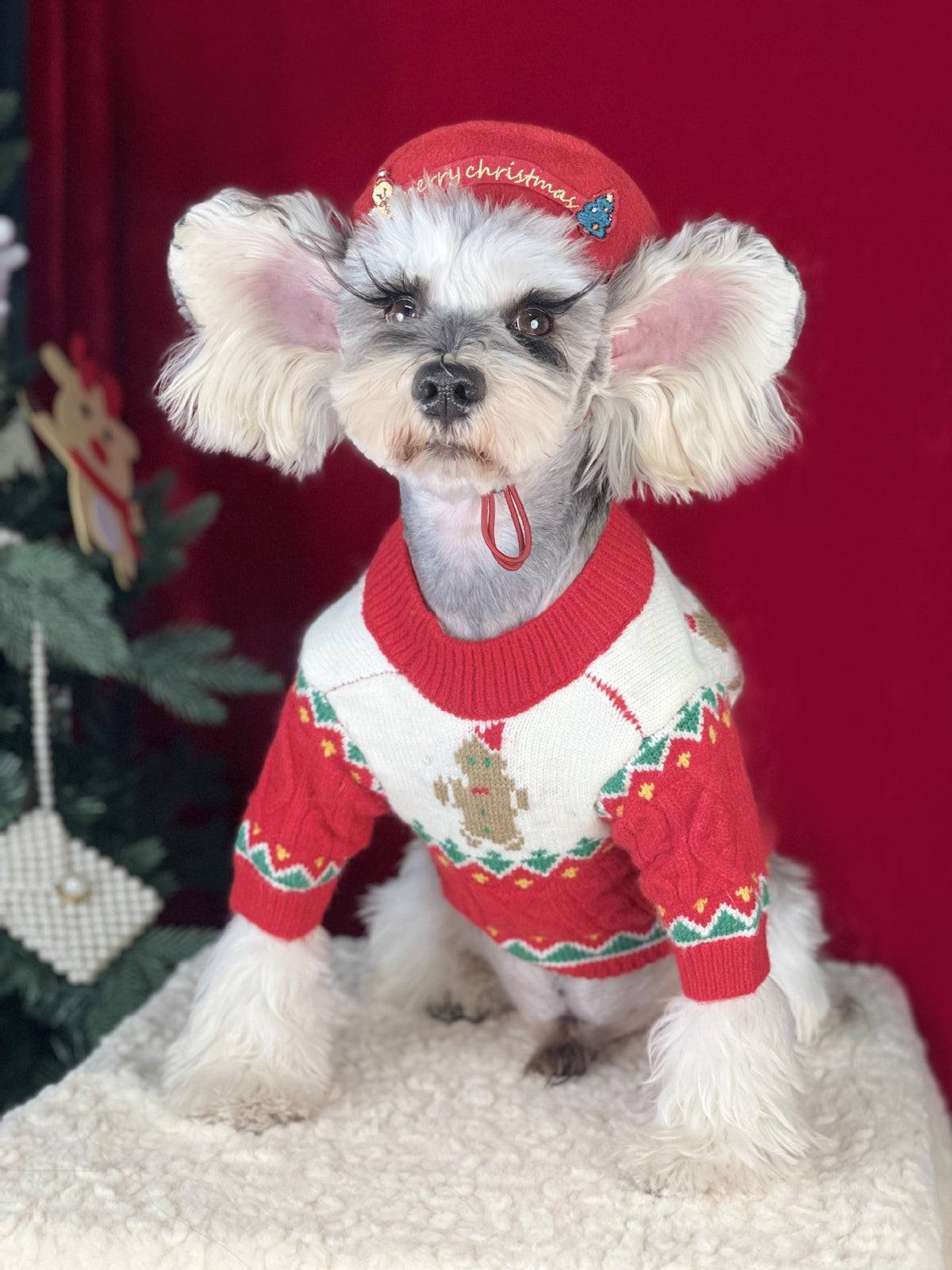 Dog Sweater Christmas Style Wool Dog Sweater