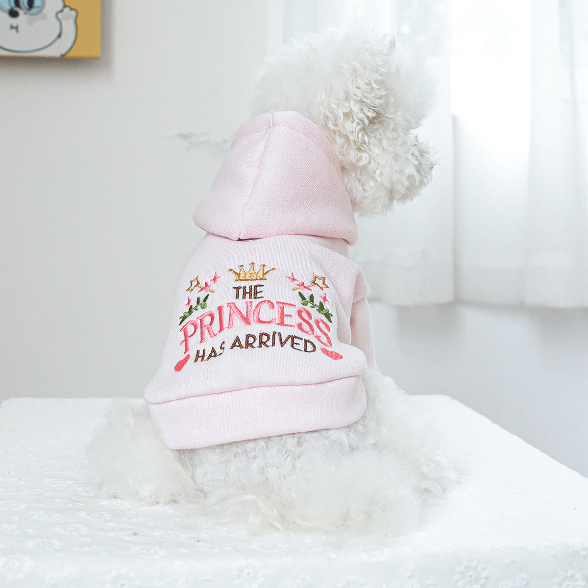 Pet Clothes Dog Cat Clothes Hooded Little Princess Sweater