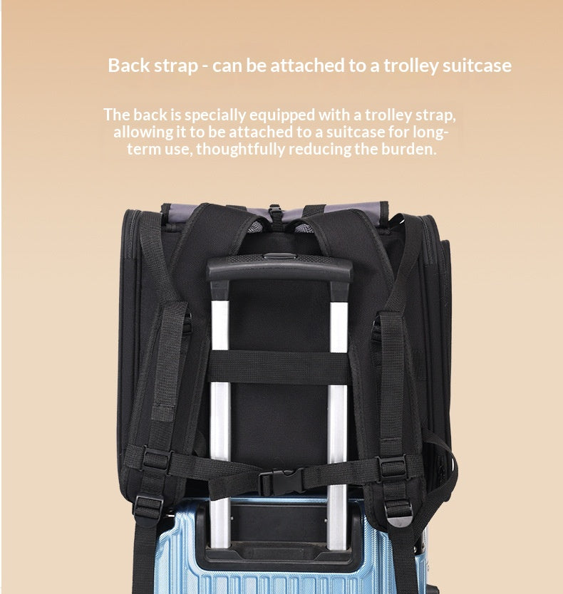 Large-capacity Portable Cat Carrier For Travel