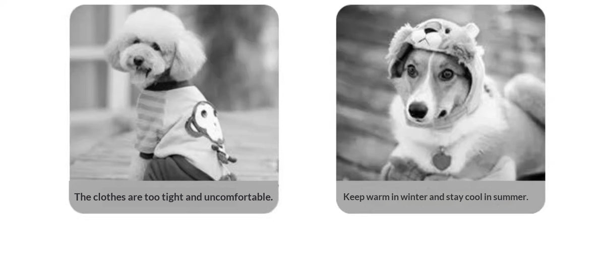 Winter Pet Clothing Teddy Bear-style Four-legged Outfit Fleece-lined And Extra-thick
