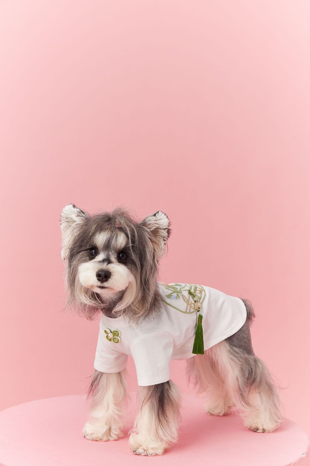 Panda a Gust of Neo-Chinese Wind Teddy Schnauzer Maltese Bichon - Pet Clothing