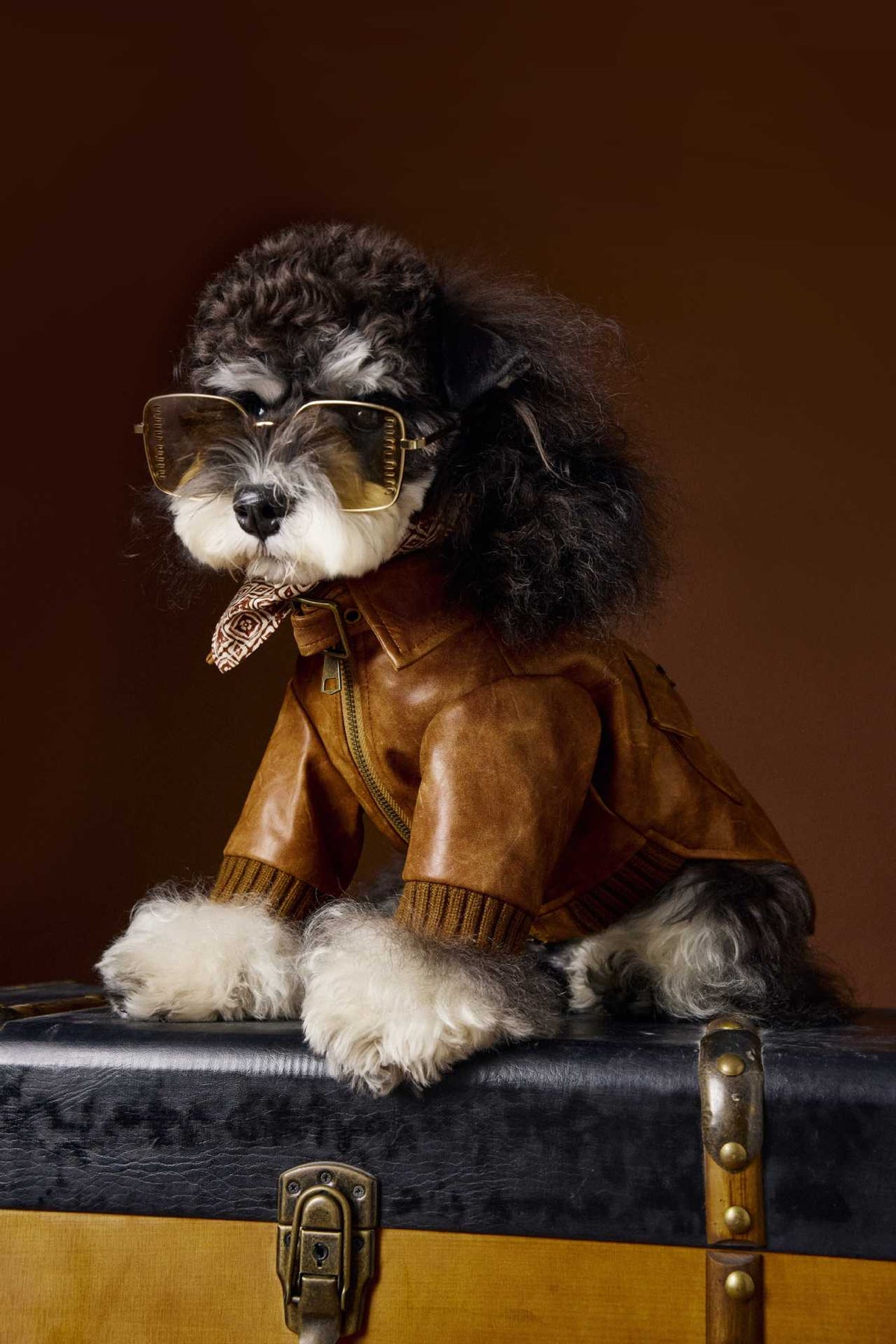 Schnauzer Bichon Handsome Retro Style Long Sleeve Two Feet Apparel Leather Coat - Pet Clothing
