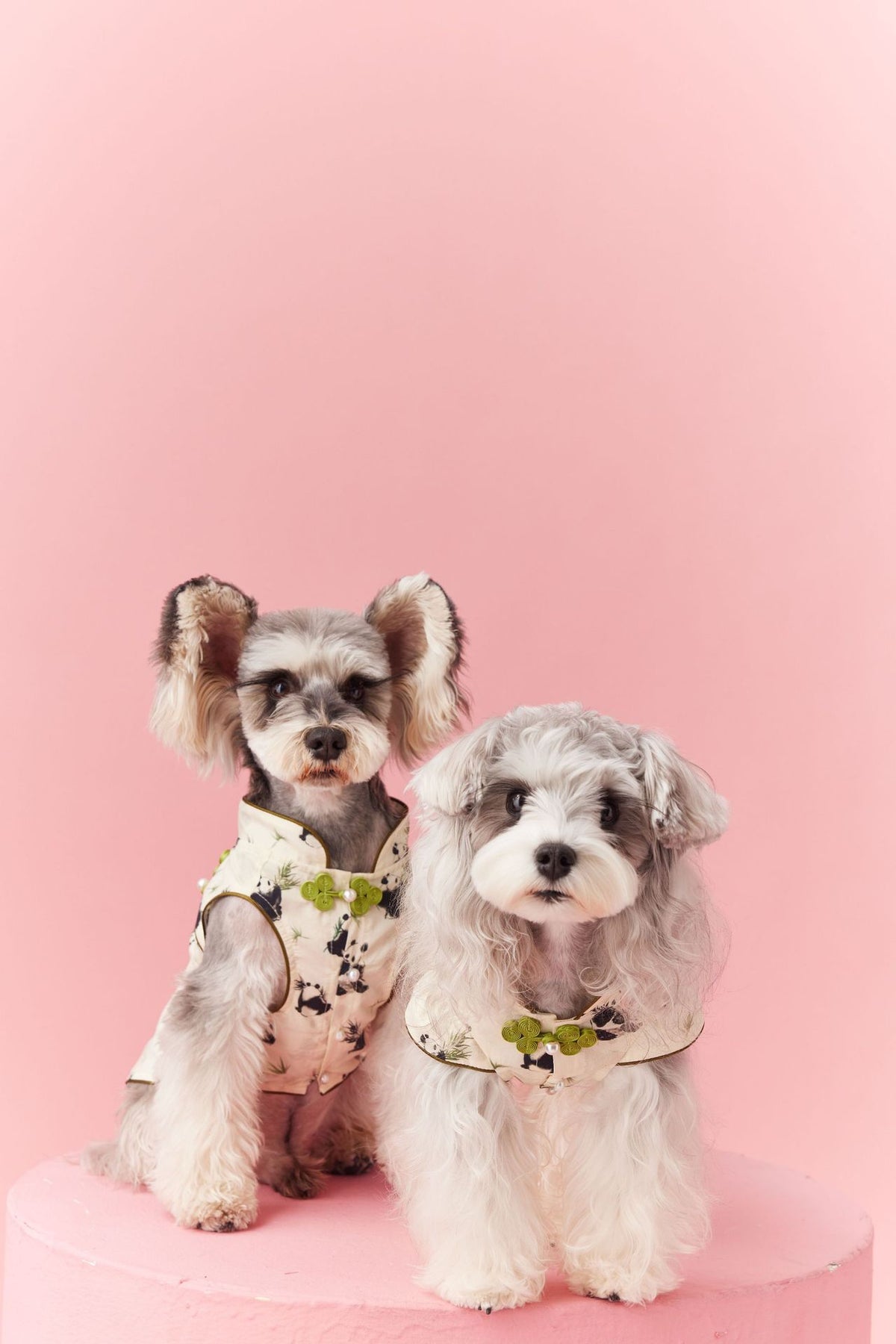 Chinese Style Teddy Schnauzer Bichon Sleeveless Panda Vest - Pet Clothing
