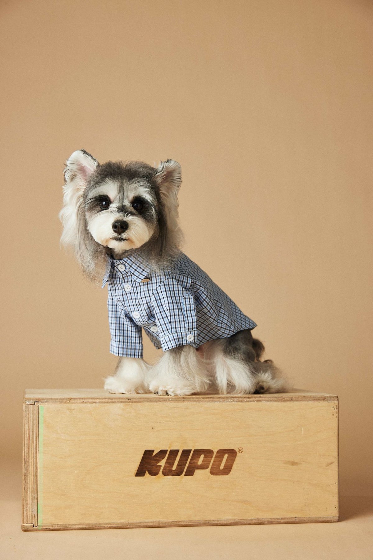 Dog Clothes Summer Small Plaid Shirt