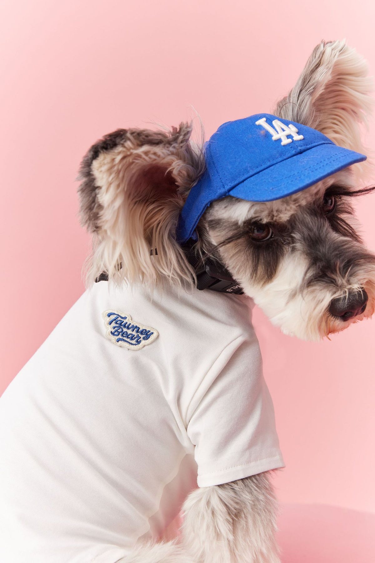Breathable Bottoming T-Shirt Solid Color Inner Wear Schnauzer Maltese - Pet Clothing