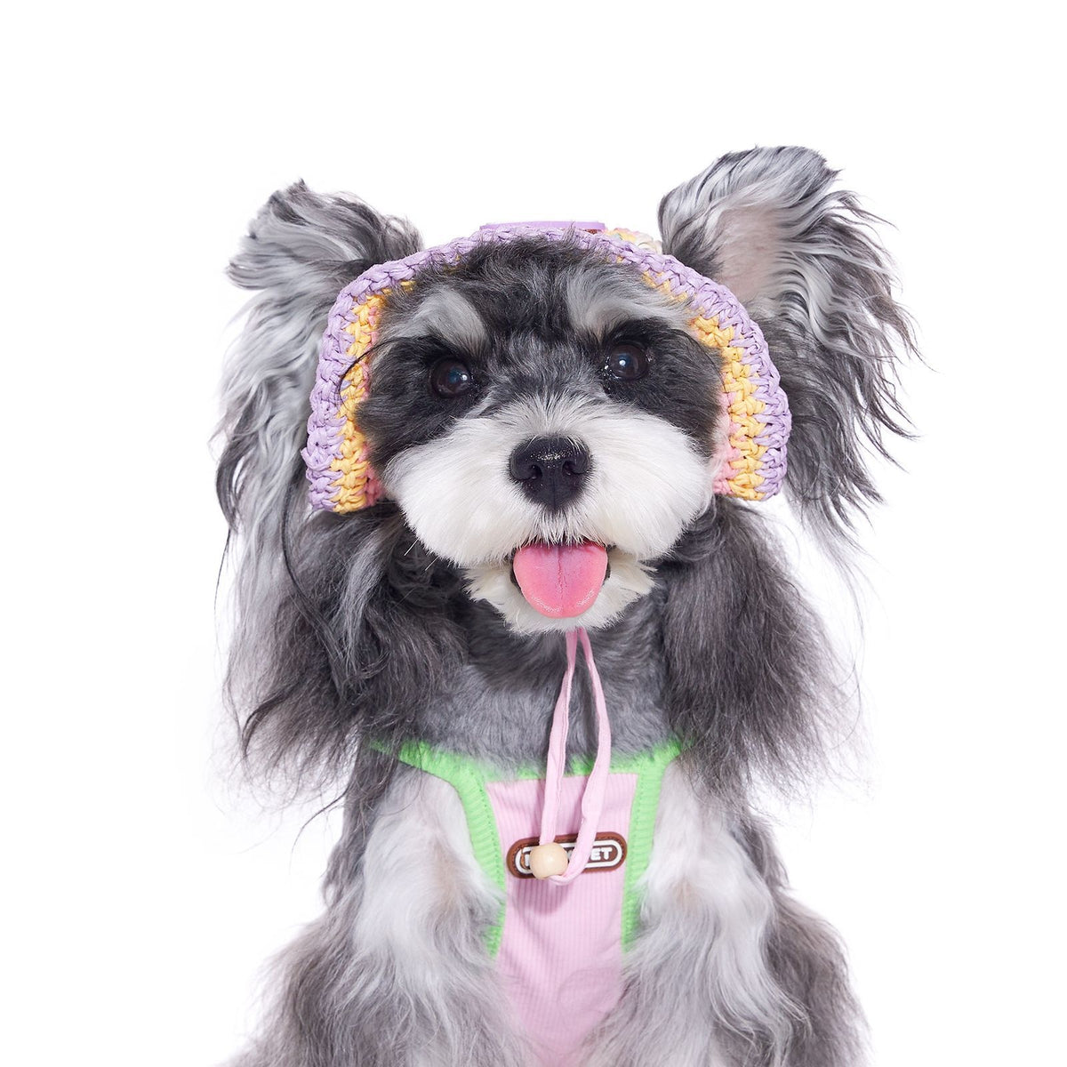 Dog Woven Sun Hat Summer Small Dog Yorkshire Bichon