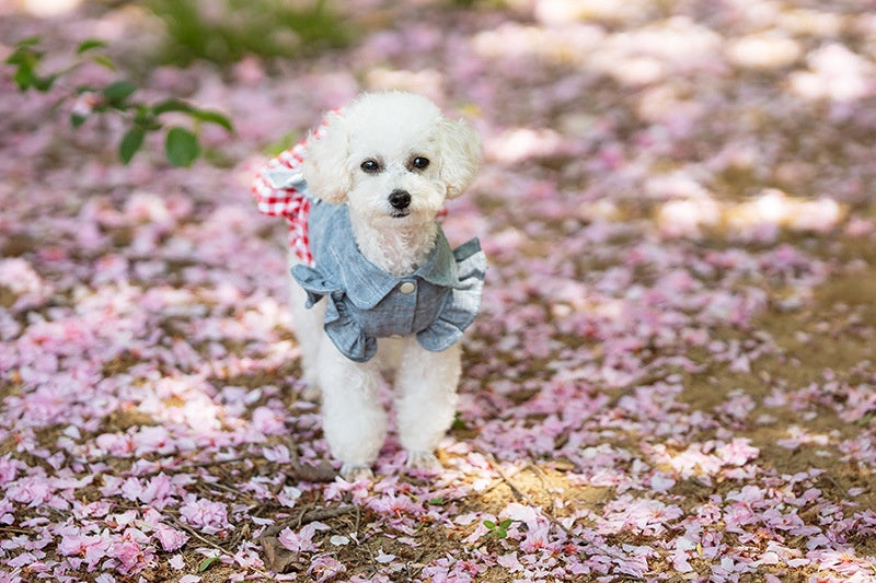 SpringSummer Thin Bow-Knot Dress For Pets
