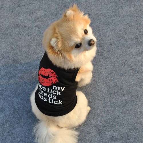 Summer Black Vest Breathable Teddy Bichon - Pet Clothing