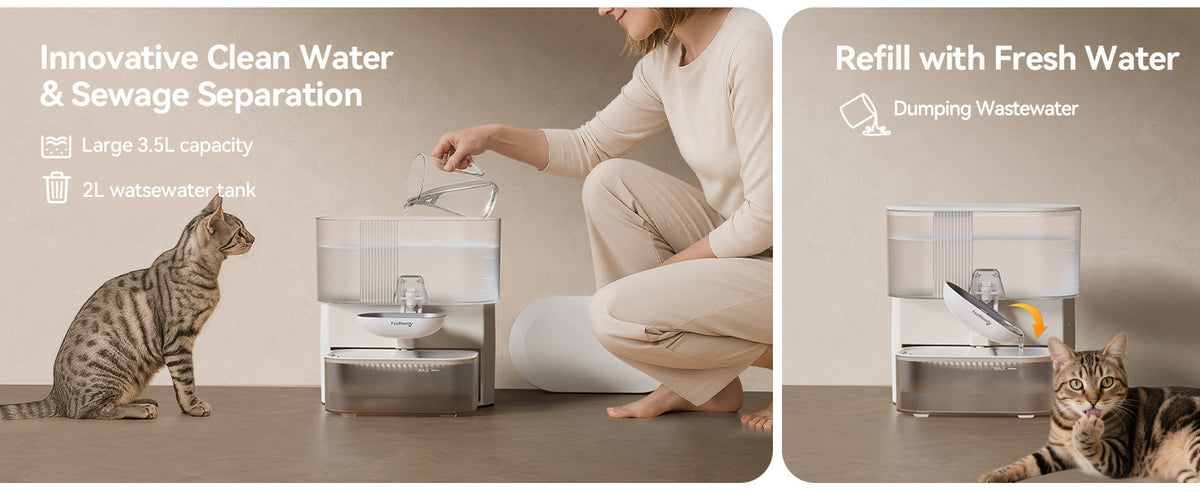 New Stainless Steel Water Dispenser With Timed And Portion-controlled Feeding