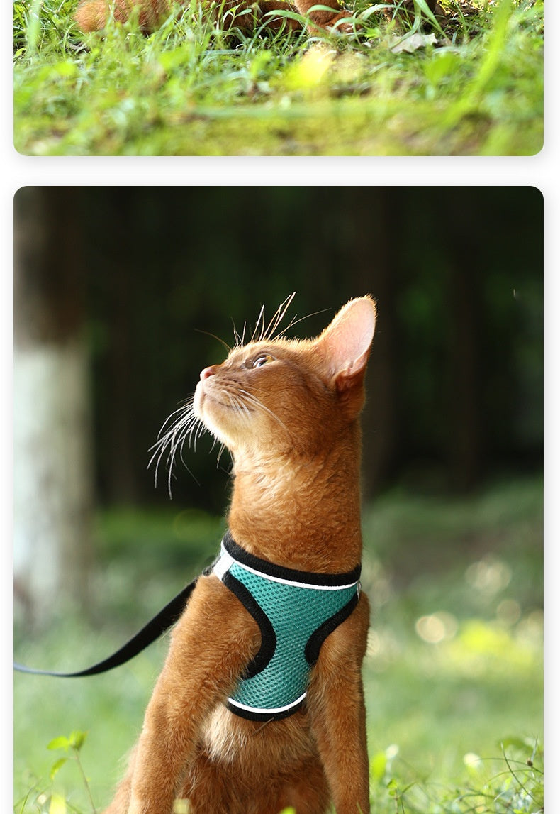 Outdoor Dog-walking Vest-style Harness Leash