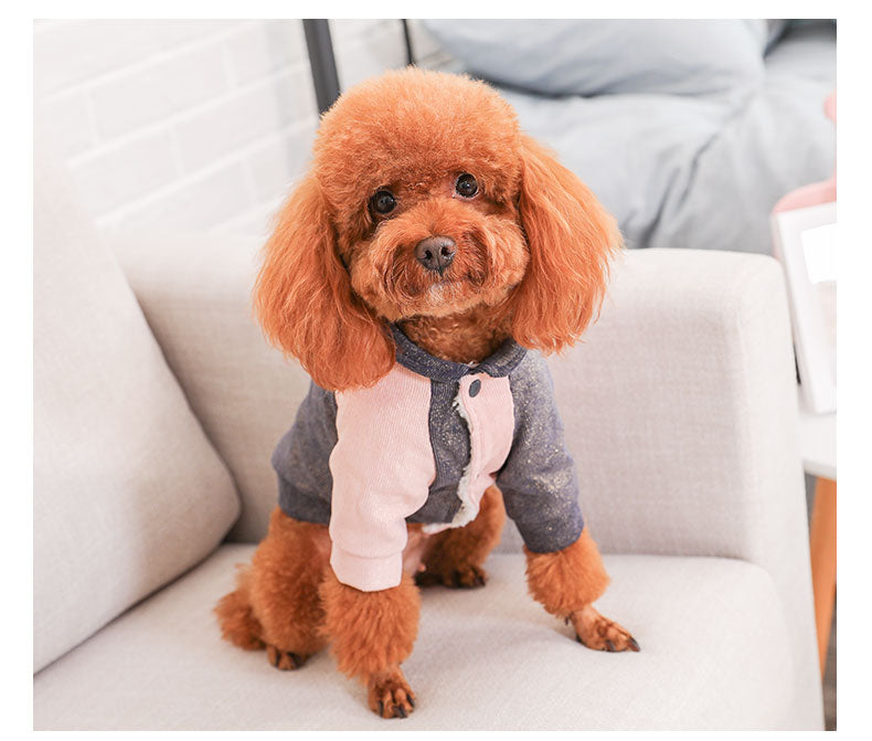 Small dog clothes cotton coat
