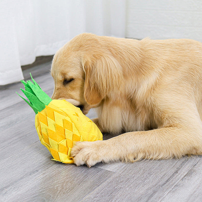 Pet soft toy